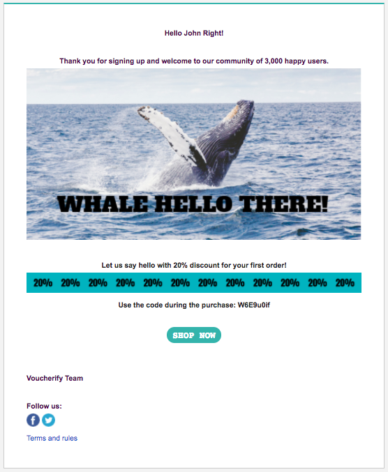  ایمیل کوپن سازی با کد تبلیغی 